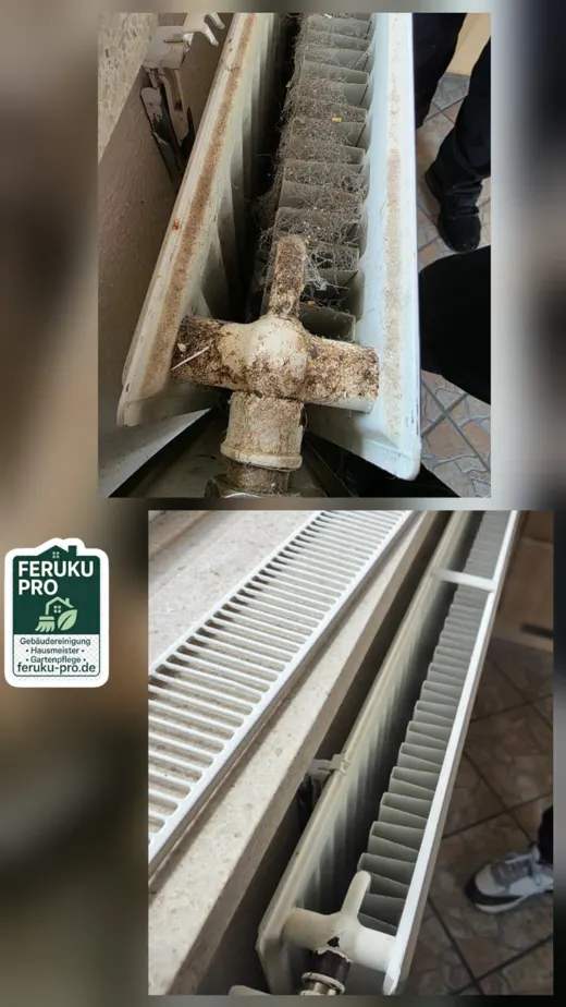 Heizkörper vor und nach der Reinigung