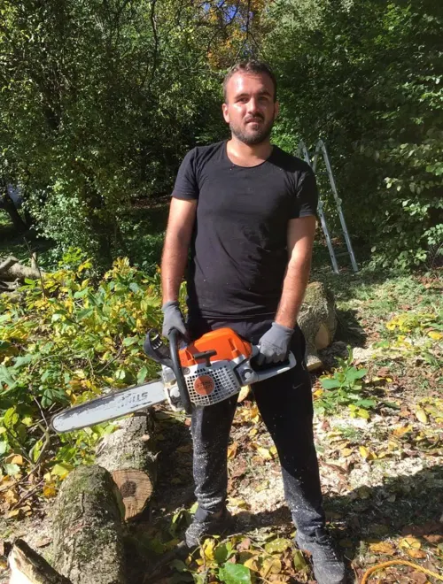 Gartenpflege: Baumrückschnitt mit der Motorsäge